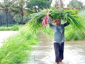 ಹೊಲಕ್ಕೆ ಮಳೆ ಕಡಿಮೆ, ನದಿಗೆ ನೀರು ಹೆಚ್ಚು