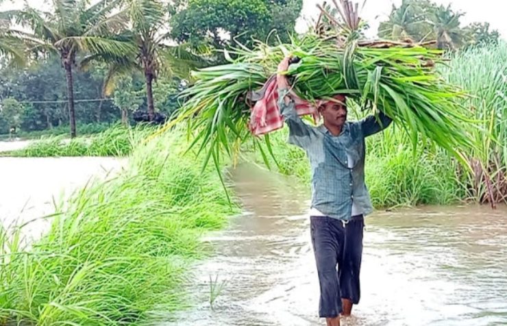 ಹೊಲಕ್ಕೆ ಮಳೆ ಕಡಿಮೆ, ನದಿಗೆ ನೀರು ಹೆಚ್ಚು