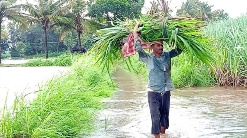 ಹೊಲಕ್ಕೆ ಮಳೆ ಕಡಿಮೆ, ನದಿಗೆ ನೀರು ಹೆಚ್ಚು